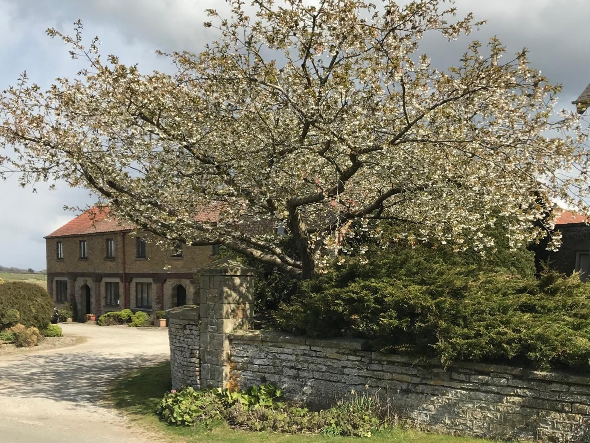 Вілла Phlomis Йорк Екстер'єр фото
